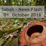 Sabah News Flash - 1. October 2016