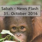 Sabah News Flash - 31 October 2016