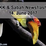 17-06-14 Sabah - Endangered Wildlife