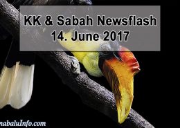 17-06-14 Sabah - Endangered Wildlife