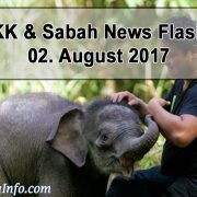 Baby Elephant - Wildlife Rescue Unit