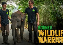 The Borneo Wildlife Warriors