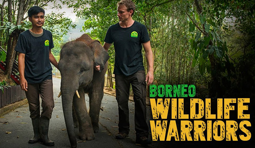 The Borneo Wildlife Warriors