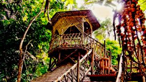 Bunga Raya Island Resort-view tree house