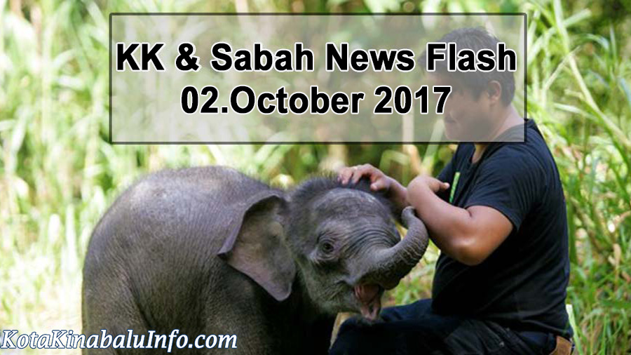 Sabah Plantations Loses Due to Elephants