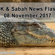 Bruneian Crocodile Hunter to Hold Shows Abroad