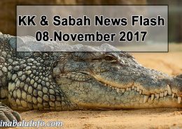 Bruneian Crocodile Hunter to Hold Shows Abroad
