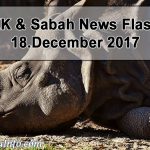 Malaysia’s Last Living Sumatran Rhino Sick
